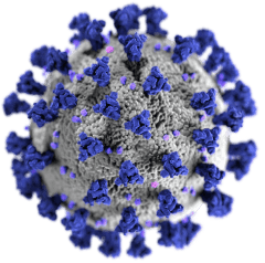 covid-19-virus-illustration-